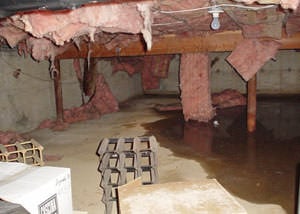 Fiberglass dripping off of the ceilings of a Mount Pleasant crawl space