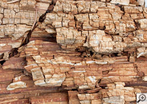 Dry rot damage on wood in Pooler